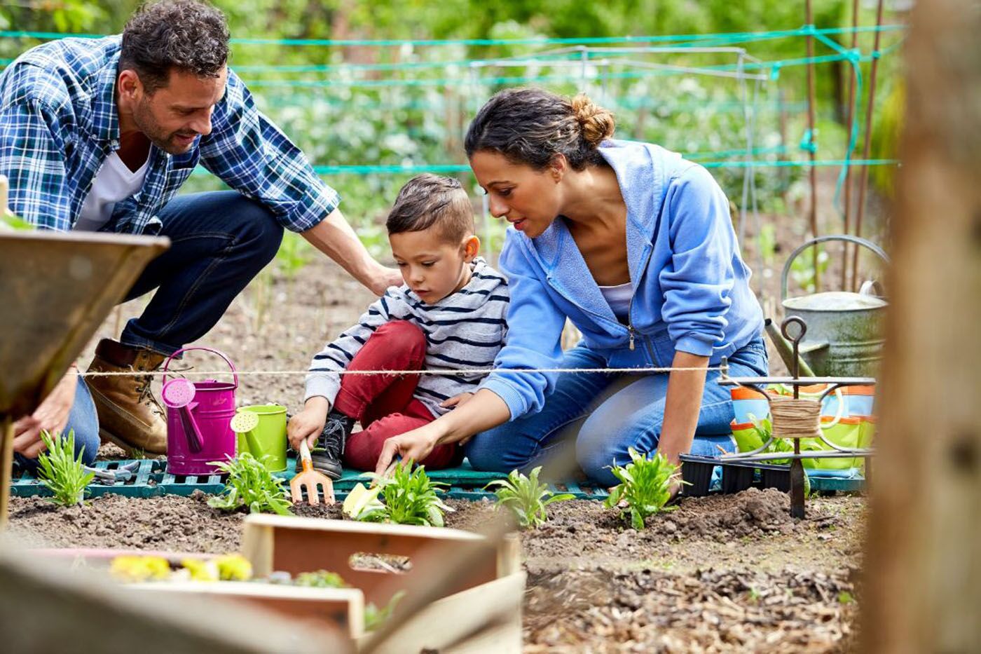 An image of a family walking down a city street - Rest Easy Pest Control offers expert pest control services in Suffolk County, NY to protect your home or business.