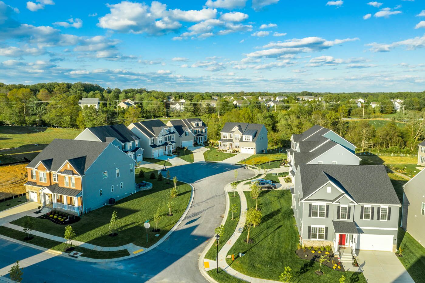 A long shot of a neighborhood in need of pest control from Rest Easy Pest Control Camden County.
